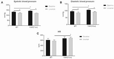 Tonin Overexpression in Mice Diminishes Sympathetic Autonomic Modulation and Alters Angiotensin Type 1 Receptor Response